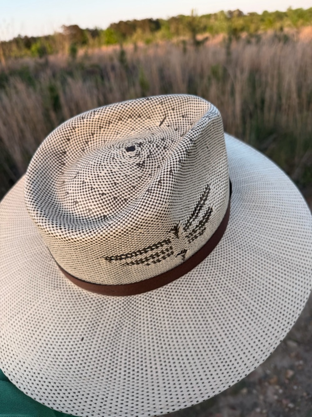 Charlie 1 Horse Straw Cowboy Hat - Picture 5 of 9